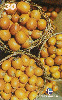 22978  PA  02/01  Série Frutas  ( 12/12 ) Tir. 120.000 ABNC 30C