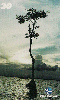 23078  PA  09/01  Série Natureza ( 07/08 ) Tir. 120.000 CSM 30C