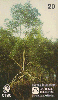 73083  CTBC 05/98 Mata Atlântica ( Manguezal ) Tir. 80.000 Interp. 20C ( CHEIO )
