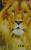 25874  CTBC  07/02  Felinos  ( 01/05 ) Tir. 360.000 ICE 40C