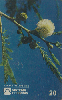 72827  DF 03/98 Flores do Cerrado ( Anademanthera sp Angico ) Tir. 50.000 CMB 20C ( CHEIO )