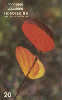 28082  DF  03/99  Flores do Cerrado ( Leguminosae Bauhinia ) Tir. 150.000 ICE 20C