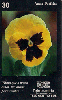 28125  DF  06/99  A Linguagem das Flores ( Amor Perfeito ) Tir. 10.000 ICE 30C