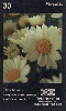 28128  DF  06/99  A Linguagem das Flores ( Margarida ) Tir. 10.000 ICE 30C