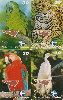 01322  MG  06/99  Tenda Têxtil ( 4 Cartões ) Tir. 7.500 Interp. 30C