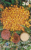 21668  MA  03/00  Frutas do Maranhão ( 18/20 ) Tir. 50.000 ABNC 30C