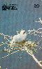 72270  CE  11/97  Natureza Viva ( Filhote de Atobá ) Tir. 10.000 Interp. 20C ( CHEIO )