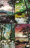 01378  MG  09/01  Série FÉ ( 4 Cartões ) Tir. 100.000 CSM 30C