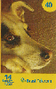 12274  MS  12/07  Cães ( 01/02 ) Tir. 645.000 ICE 40C
