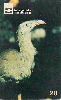14033  G0  11/98  Aves do Cerrado Goiano ( Seriema ) Tir. 110.000 ICE 20C