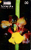 28109A  DF 04/99 Orquídea do Cerrado CYE D1 Tir. 10.000 ICE 30C