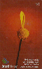 30610  BT  06/01  12 de Junho - Dia dos Namorados Tir. 390.000 ICE 30C