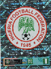 107 FIGURINHA COPA FEMININA 2023