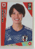 195 FIGURINHA COPA FEMININA 2023