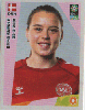 254 FIGURINHA COPA FEMININA 2023