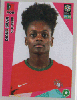 375 FIGURINHA COPA FEMININA 2023