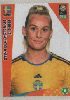 458 FIGURINHA COPA FEMININA 2023