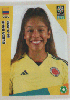 560 FIGURINHA COPA FEMININA 2023