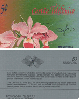 3909A  ORQUIDEA ( CHEIA COM DESLOCAMENTO E ERRO DE CORTE )