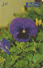 0698 SP 10/99 Flores (Amor Perfeito roxo) Tir. 300.000 CSM 30c.