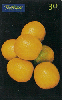 0860 SP 07/00 Alimentos Frutas (Laranja Pera) Tir.500.000 ICE