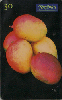 0862 SP 07/00 Alimentos Frutas (Manga) Tir.500.000 ICE 30C