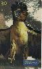 0957 SP 07/00 Aves de Rapina ( Harpia ) Tir.200.000 ICE 30C