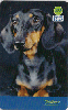 2433  SP  10/04  Série Cães 2004 (06/10) Tir. 50.000 ICE 40C