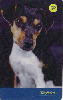 2435  SP  10/04  Série Cães 2004 (07/10)-A Tir. 50.000 Int. 50C