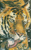 1755  RJ  06/00  Tigre  ( 10 Cartões ) Tir. 100.000 ABNC 30C  ( Puzzle )