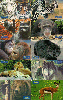 4231  SP  06/00  Animais Selvagens ( 10 cartões )  CSM 30C