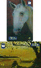 4249  04/01  Arte Viva ( 2 Cartões )  Tir. 1.000.000 ICE 30C