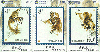 00559   Série Importada  ( 3 Cartões )