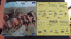 00030  CAVALOS NO PASTO ( 6 CARDS ) NÃO É CARTÃO TELEFONICO ( RÉPLICA )