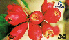 16497  RBA  11/00  Série Frutas  ( 07/10 )  Tir. 175.000 ABNC 30C