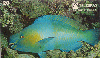 37361  TB  05/95  Peixes - BUDIÃO ABNC 20C ( L1 - 03 - 05/95 )
