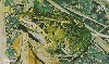 03499  SC  07/01  Série Anfíbios ( 05/12 )  Tir. 150.000 ICE 30C