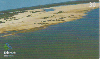 09834  MT  02/02  Rio Araguaia ( 04/10 ) Tir. 150.000 ICE 30C