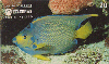 37342  TB  04/95  Peixes - ANJO Interp. 20C Logo Superior ( 03 - 05/95 ) C/Nº **