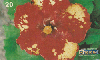 0346  RJ  11/98  Hibiscus Híbridos  (10/20) Tir.100.000 ABNC 20C