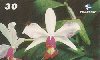 1298  RJ  06/01  Orquídeas Cattleya violacea  (10/10) Tir.200.000 ABNC 30C