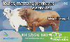 08937  RO  11/04  Nova Vida 2  Tir. 68.200 ICE 40C