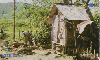 14718  GO  03/04  Fazenda ( 03/04 )  Tir. 62.500 ICE 40C
