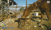 14719  GO  03/04  Fazenda ( 04/04 )  Tir. 62.500 ICE 40C