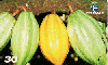 16496  RBA  11/00  Série Frutas  ( 06/10 )  Tir. 175.000 ABNC 30C