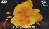 18366  CE  06/99  Flora Cearense ( Pacotê )  Tir. 120.000 CSM 60C