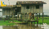 22979  PA  02/01  Ilha de Marajó Habitações ( 01/11 ) Tir. 110.000 CMB 30C