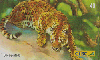 25881  CTBC  07/02  Felinos  ( 04/05 ) Tir. 360.000 ICE 40C