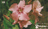 37357  TB  05/95  Flores do Cerrado - Jalapa do Campo ABNC 20C ( L2 - 05 - 06/95 )
