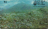 38040  TB  01/97  Parques Nacionais ( 05/12 ) CSM 50C ( 02 - 01/97 )